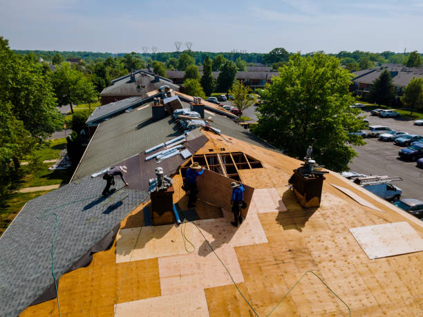 Best Roof Maintenance Services  in Marine, IL