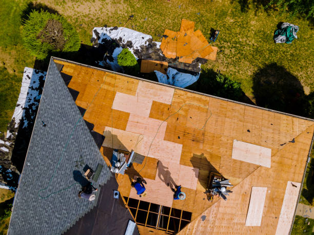 Best Roof Leak Repair  in Marine, IL