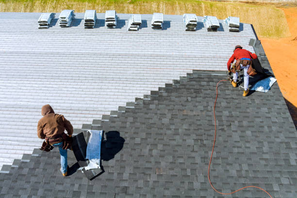 Roof Gutter Cleaning in Marine, IL
