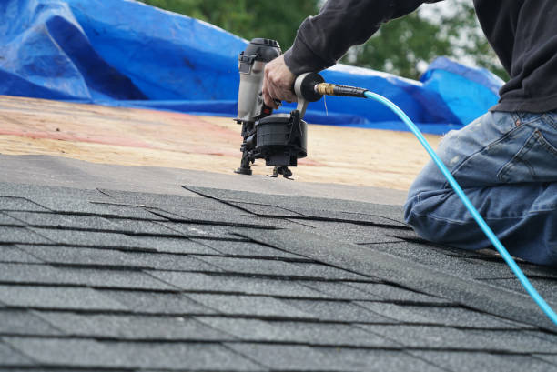 Best Roof Gutter Cleaning  in Marine, IL